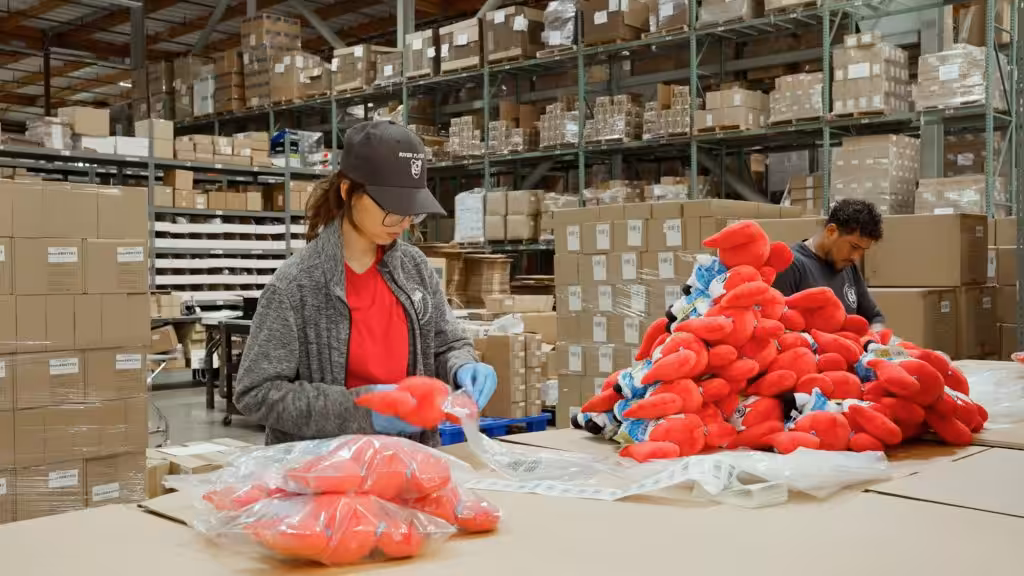 Omnichannel Logistics & eCommerce Fulfillment Experts